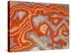 Agate sample-Walter Geiersperger-Stretched Canvas