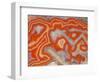 Agate sample-Walter Geiersperger-Framed Photographic Print