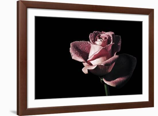 Agate-Andreas Stridsberg-Framed Giclee Print