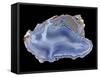 Agate-Walter Geiersperger-Framed Stretched Canvas