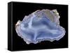 Agate-Walter Geiersperger-Framed Stretched Canvas