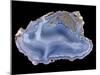 Agate-Walter Geiersperger-Mounted Premium Photographic Print