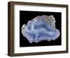 Agate-Walter Geiersperger-Framed Photographic Print