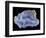 Agate-Walter Geiersperger-Framed Photographic Print