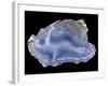 Agate-Walter Geiersperger-Framed Photographic Print