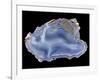 Agate-Walter Geiersperger-Framed Photographic Print