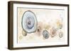 Agates Flying Watercolor-Patricia Pinto-Framed Art Print