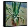 Agave, 1891-Viktor Elpidiforovich Borisov-musatov-Framed Stretched Canvas