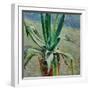 Agave, 1891-Viktor Elpidiforovich Borisov-musatov-Framed Giclee Print