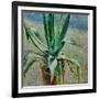 Agave, 1891-Viktor Elpidiforovich Borisov-musatov-Framed Giclee Print