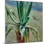 Agave, 1891-Viktor Elpidiforovich Borisov-musatov-Mounted Giclee Print