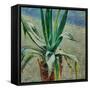 Agave, 1891-Viktor Elpidiforovich Borisov-musatov-Framed Stretched Canvas