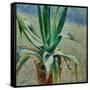 Agave, 1891-Viktor Elpidiforovich Borisov-musatov-Framed Stretched Canvas