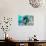 Agave Abstract I-Sisa Jasper-Art Print displayed on a wall