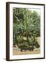 Agave and Cactus, Huntington Gardens-null-Framed Art Print