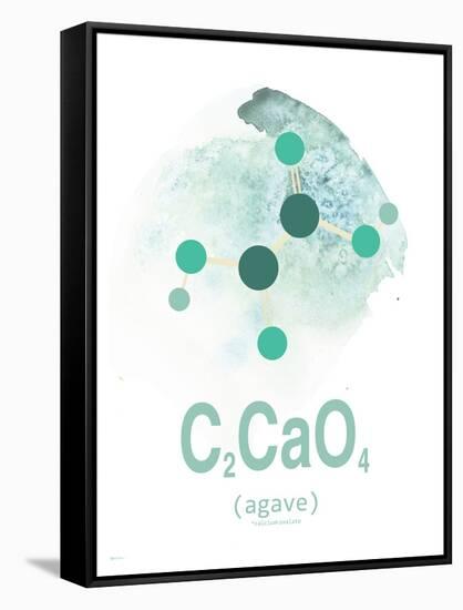 Agave Aqua-TypeLike-Framed Stretched Canvas