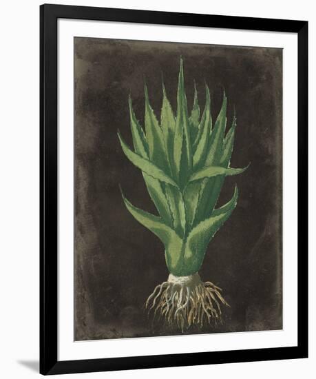 Agave Botanical II-Giclee Studio-Framed Giclee Print