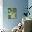 Agave Cactus, Longwood Gardens, Pennsylvania, Usa-Adam Jones-Photographic Print displayed on a wall