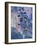 Agave, Century Plant, Big Bend National Park, Texas, USA-William Sutton-Framed Photographic Print