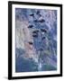 Agave, Century Plant, Big Bend National Park, Texas, USA-William Sutton-Framed Photographic Print