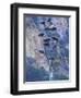 Agave, Century Plant, Big Bend National Park, Texas, USA-William Sutton-Framed Photographic Print