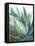 Agave Crop-Danhui Nai-Framed Stretched Canvas