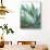 Agave Crop-Danhui Nai-Stretched Canvas displayed on a wall