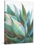 Agave Crop-Danhui Nai-Stretched Canvas