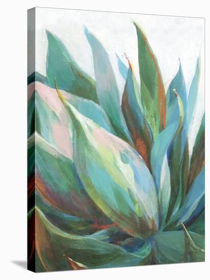 Agave Crop-Danhui Nai-Stretched Canvas