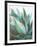 Agave Crop-Danhui Nai-Framed Art Print