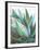 Agave Crop-Danhui Nai-Framed Art Print