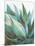 Agave Crop-Danhui Nai-Mounted Art Print