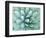 Agave, Desert Botanical Museum, Phoenix, Arizona, USA-Rob Tilley-Framed Photographic Print