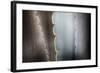 Agave Growing in the Forest-Terry Eggers-Framed Photographic Print