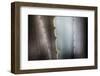 Agave Growing in the Forest-Terry Eggers-Framed Photographic Print