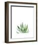 Agave I-Ann Solo-Framed Art Print