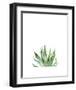 Agave I-Ann Solo-Framed Art Print