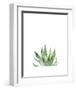 Agave I-Ann Solo-Framed Art Print