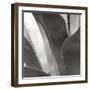 Agave I-Rita Crane-Framed Photographic Print