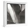 Agave I-Rita Crane-Framed Photographic Print
