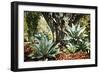 Agave I-Erin Berzel-Framed Photographic Print