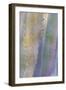 Agave I-Kathy Mahan-Framed Photographic Print