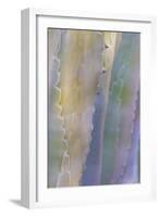 Agave I-Kathy Mahan-Framed Photographic Print