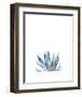 Agave II-Ann Solo-Framed Art Print