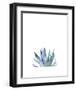 Agave II-Ann Solo-Framed Art Print