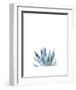 Agave II-Ann Solo-Framed Art Print