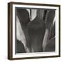 Agave II-Rita Crane-Framed Photographic Print