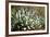 Agave II-Erin Berzel-Framed Photographic Print