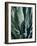 Agave II-Rachel Perry-Framed Photographic Print