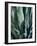 Agave II-Rachel Perry-Framed Photographic Print